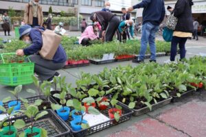 JAさいかつ 「苗木市」の様子をご紹介　JAさいかつ八潮市ふれあい農産物直売所