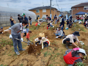 農商工連携体験型観光事業『じゃがいも収穫体験』 5月17日から受付開始 八潮市観光協会