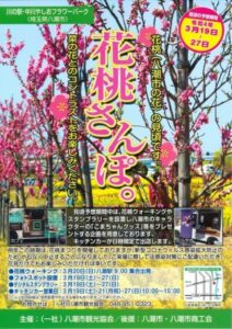 花桃さんぽ。八潮の花「花桃」が見頃になります>八潮市観光協会
