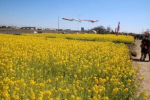 中川やしおフラワーパーク