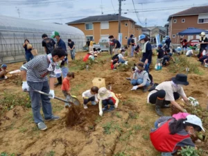 農商工連携体験型観光事業「じゃがいも収穫体験」参加者募集